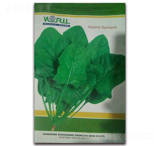 ϣ��163����-���˷N��-�����