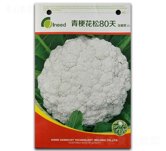 �������80�컨Ҭ��F1-��Ҭ�˷N��-�����