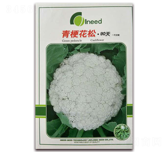 青?；ㄋ?0天-松花菜種子-艾尼德