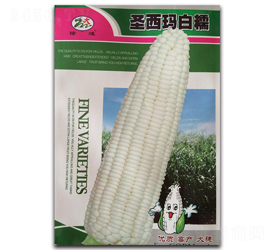 ʥ������Ŵ-Ŵ���׷N��-¡�_(d��)