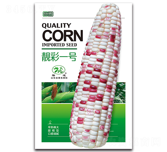 �n��һ̖-Ŵ���׷N��-¡�_(d��)