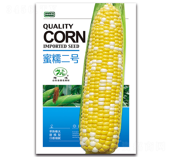 蜜糯二號(hào)-糯玉米種子-隆達(dá)
