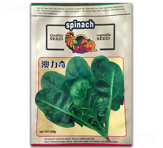 澳力奇菠菜-菠菜種子-隆達(dá)