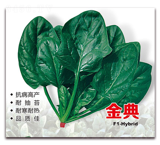 ��䲤��-���˷N��-¡�_