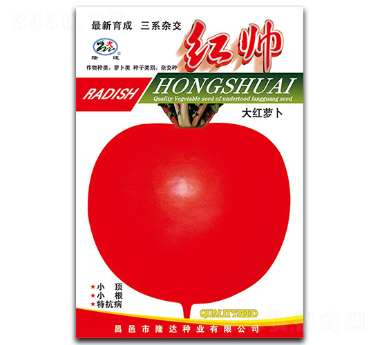 紅帥大紅蘿卜-蘿卜種子-隆達(dá)