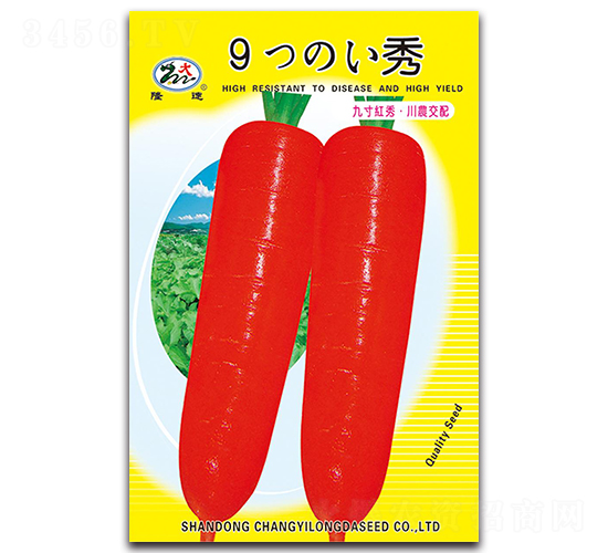 九寸紅秀蘿卜-胡蘿卜種子-隆達(dá)