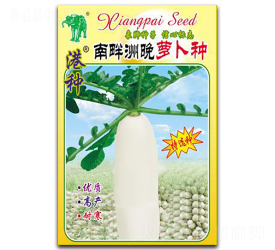 港種南畔洲晚蘿卜種-蘿卜種子-吉豐種業(yè)