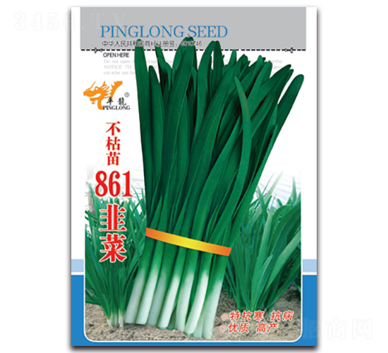 不枯苗861韭菜-韭菜種子-平龍種業(yè)