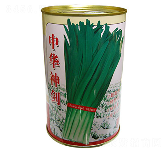 中華神劍F1-韭菜種子-平龍種業(yè)