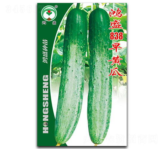 鴻盛838早黃瓜-黃瓜種子-鴻盛園