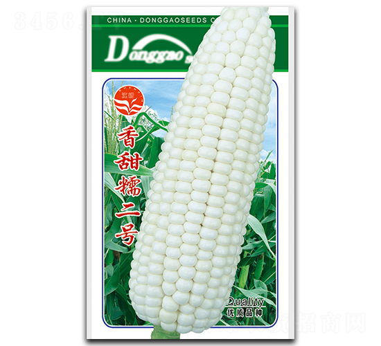 香甜糯二號(hào)-糯玉米種子-鴻盛園