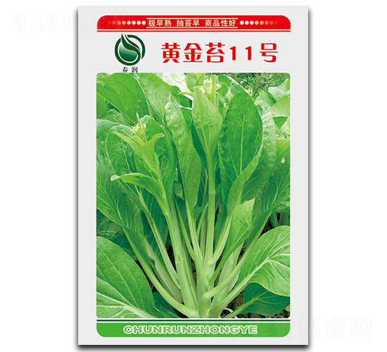 黃金苔11號(hào)-菜苔種子-鴻盛園