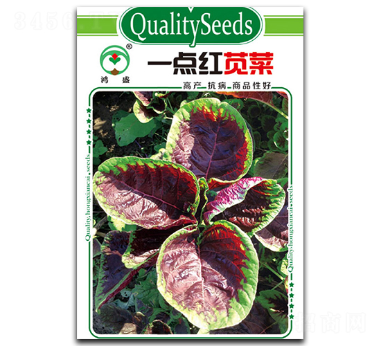 一點紅莧菜-莧菜種子-鴻盛園
