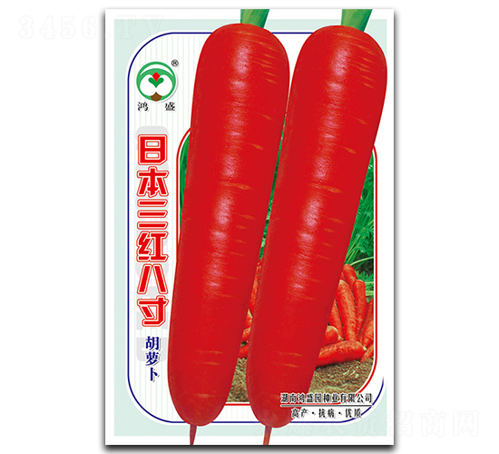日本三紅八寸-胡蘿卜種子-鴻盛園