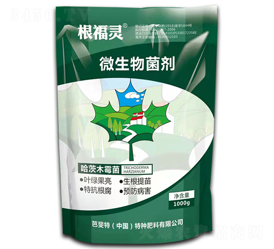 ����ľù��-�����