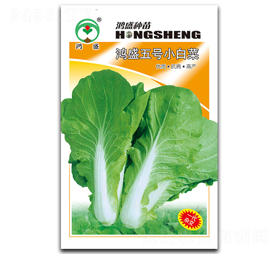 鴻盛五號-白菜種子-鴻盛園