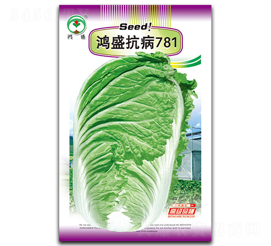 鴻盛抗病781-白菜種子-鴻盛園