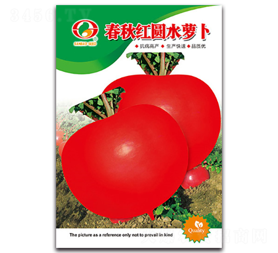 春秋紅圓水蘿卜-蘿卜種子-三保種業(yè)