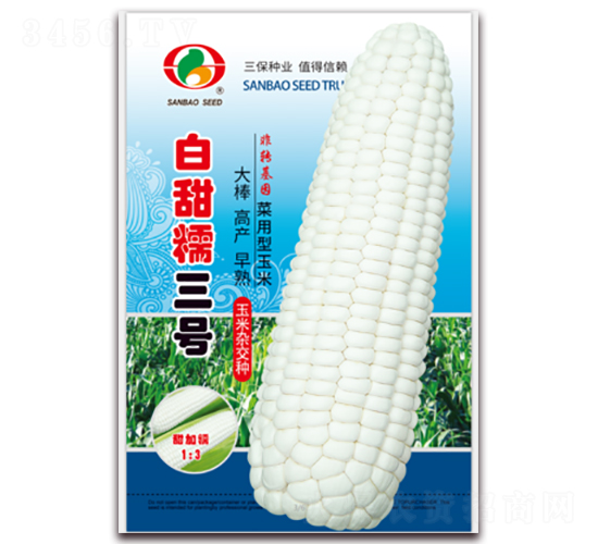 白甜糯三號(hào)-糯玉米種子-三保種業(yè)