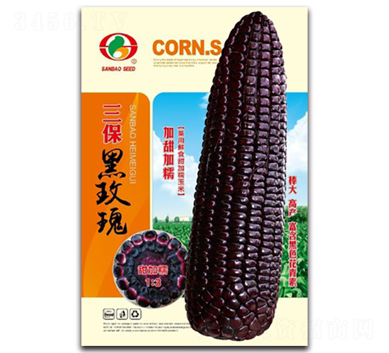 三保黑玫瑰-糯玉米種子-三保種業(yè)