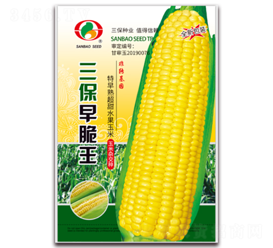 三保早脆王-甜玉米種子-三保種業(yè)