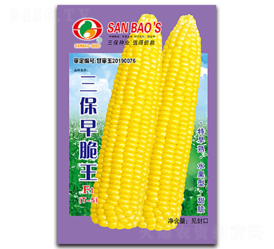 三保早脆王F1-甜玉米種子-三保種業(yè)