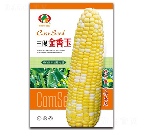 三保金香玉-甜玉米種子-三保種業(yè)