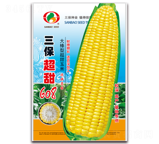 三保超甜608-甜玉米種子-三保種業(yè)