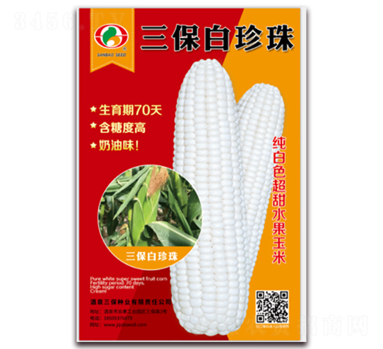 三保白珍珠-甜玉米種子-三保種業(yè)