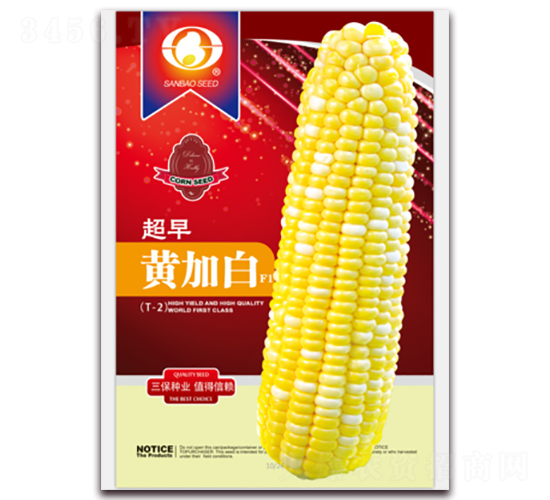 超早黃加白-甜玉米種子-三保種業(yè)