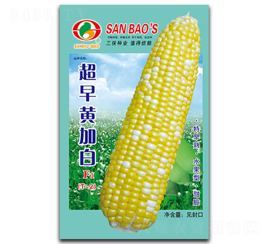 �����S�Ӱ�F1-�����׷N��-�����N�I(y��)