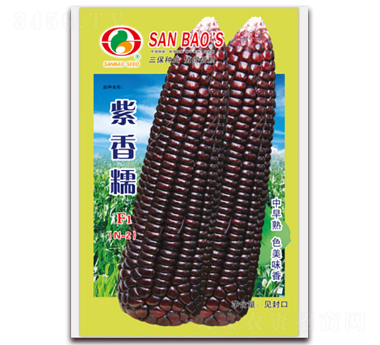 ����ŴF1-Ŵ���׷N��-�����N�I(y��)