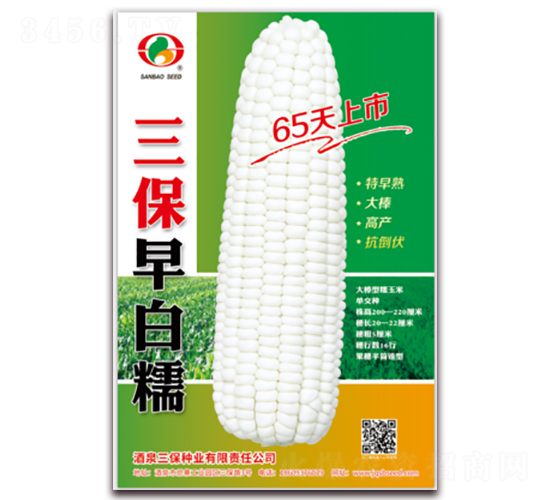 三保早白糯-糯玉米種子-三保種業(yè)