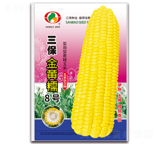 三保金黃糯8號-糯玉米種子-三保種業(yè)