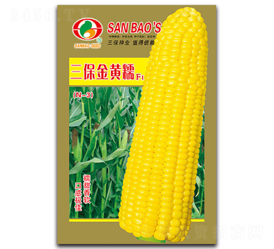 �������SŴF1-Ŵ���׷N��-�����N�I(y��)