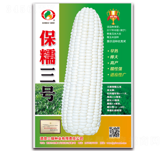 保糯三號-糯玉米種子-三保種業(yè)
