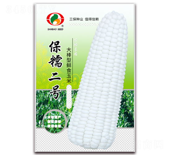 保糯二號-糯玉米種子-三保種業(yè)