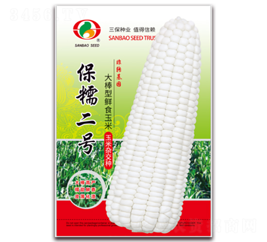 三保保糯二號-糯玉米種子-三保種業(yè)
