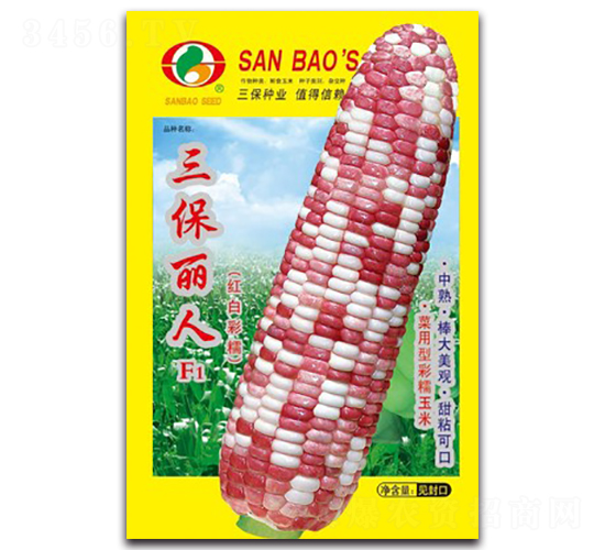 ��������F1-�t�ײ�Ŵ���׷N��-�����N�I(y��)