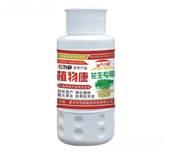 花生專(zhuān)用植物康-頂天立地-恒綠植物