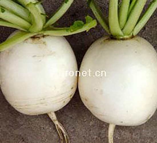 �d�G�A���}��-�}���N��-�d�G�N��