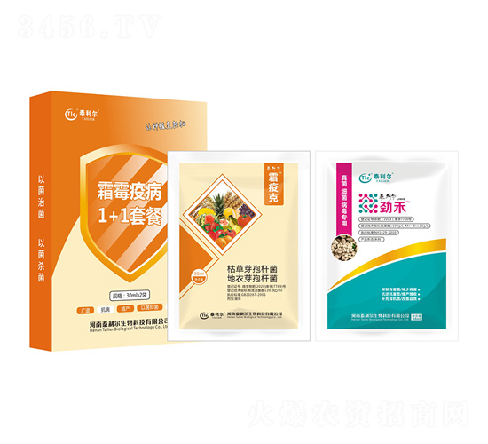 ˪ù�߲�1+1�ײ�-̩����