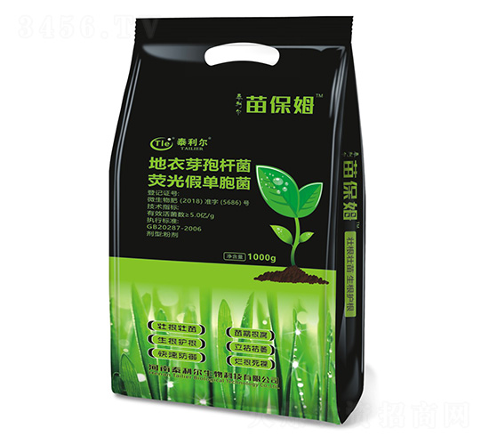 ����ѿ�ߗU�����ɹ�ΰ��U��-�籣ķ-̩����