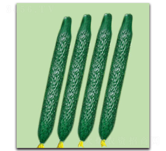 ����3̖-�S�ϷN��-��ľ�N��