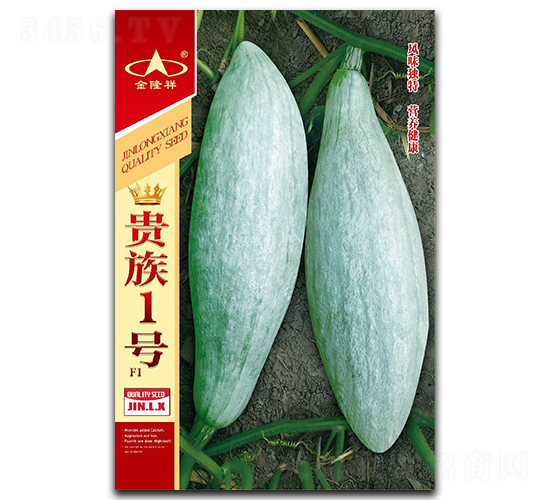 貴族1號-南瓜種子-金隆祥