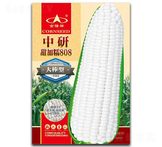 中研甜加糯808-糯玉米種子-金隆祥