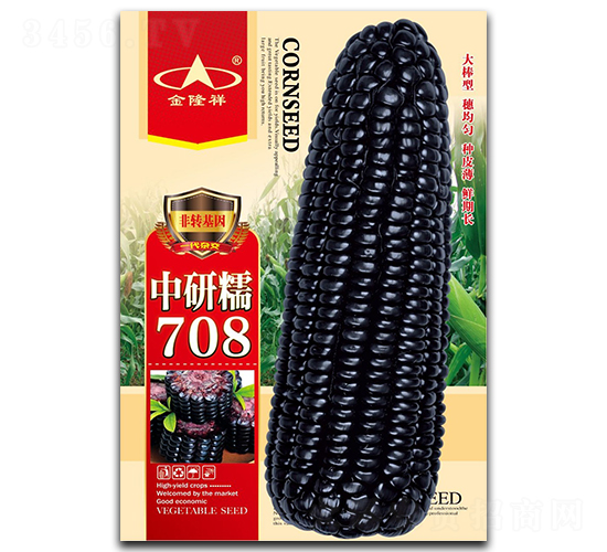 中研糯708-糯玉米種子-金隆祥