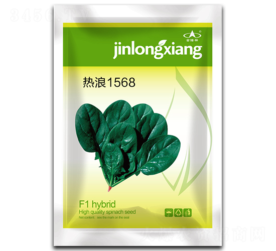 熱浪1568-菠菜種子-金隆祥