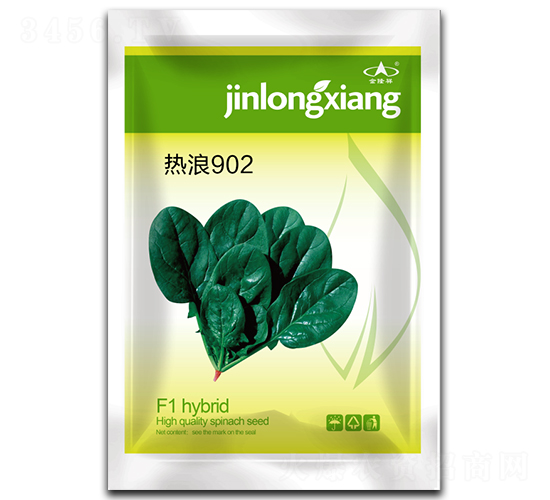 熱浪902-菠菜種子-金隆祥