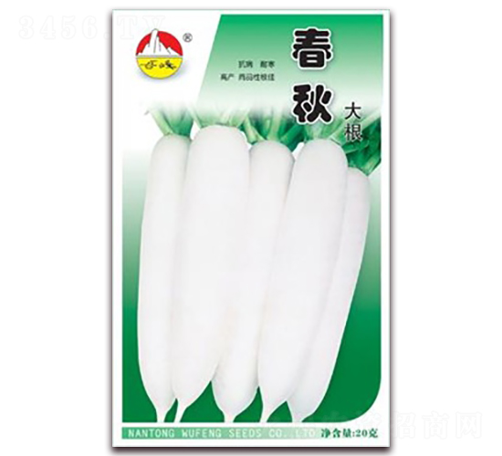 春秋大根-蘿卜種子-東方種業(yè)
